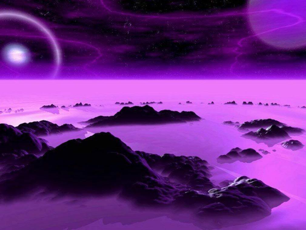 Terra viola