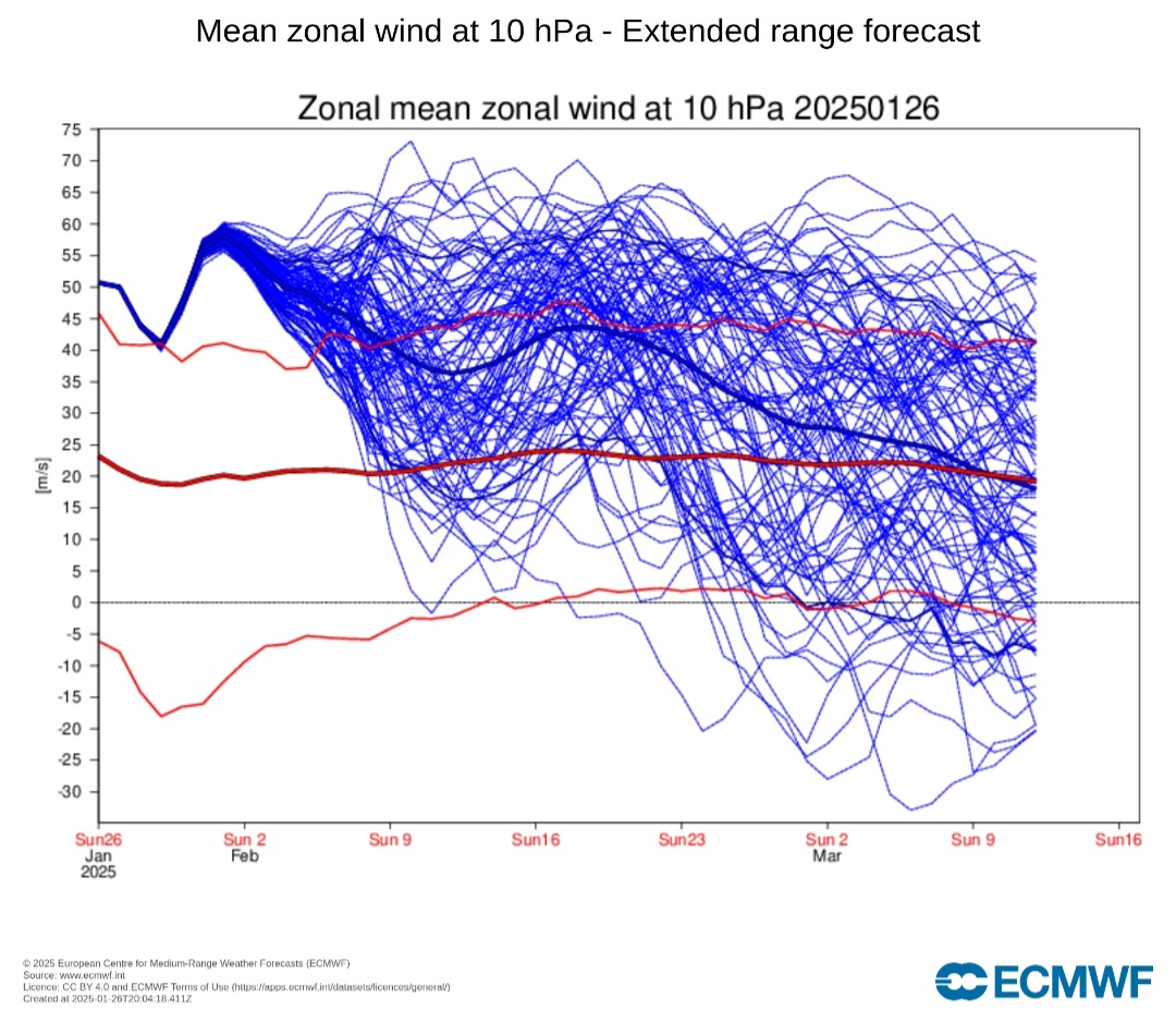 Venti zonali a 10 hPa