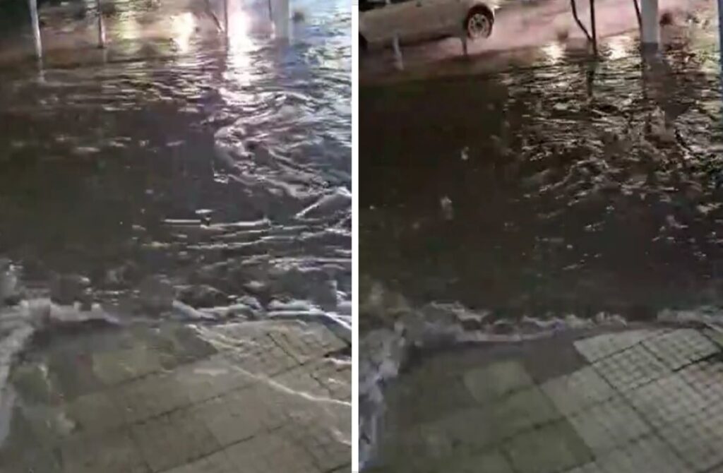Viale Annunziata rotonda Messina