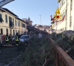 albero caduto scandicci