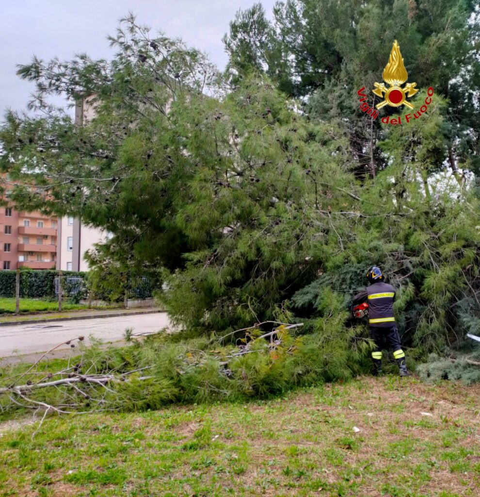 albero vigili fuoco