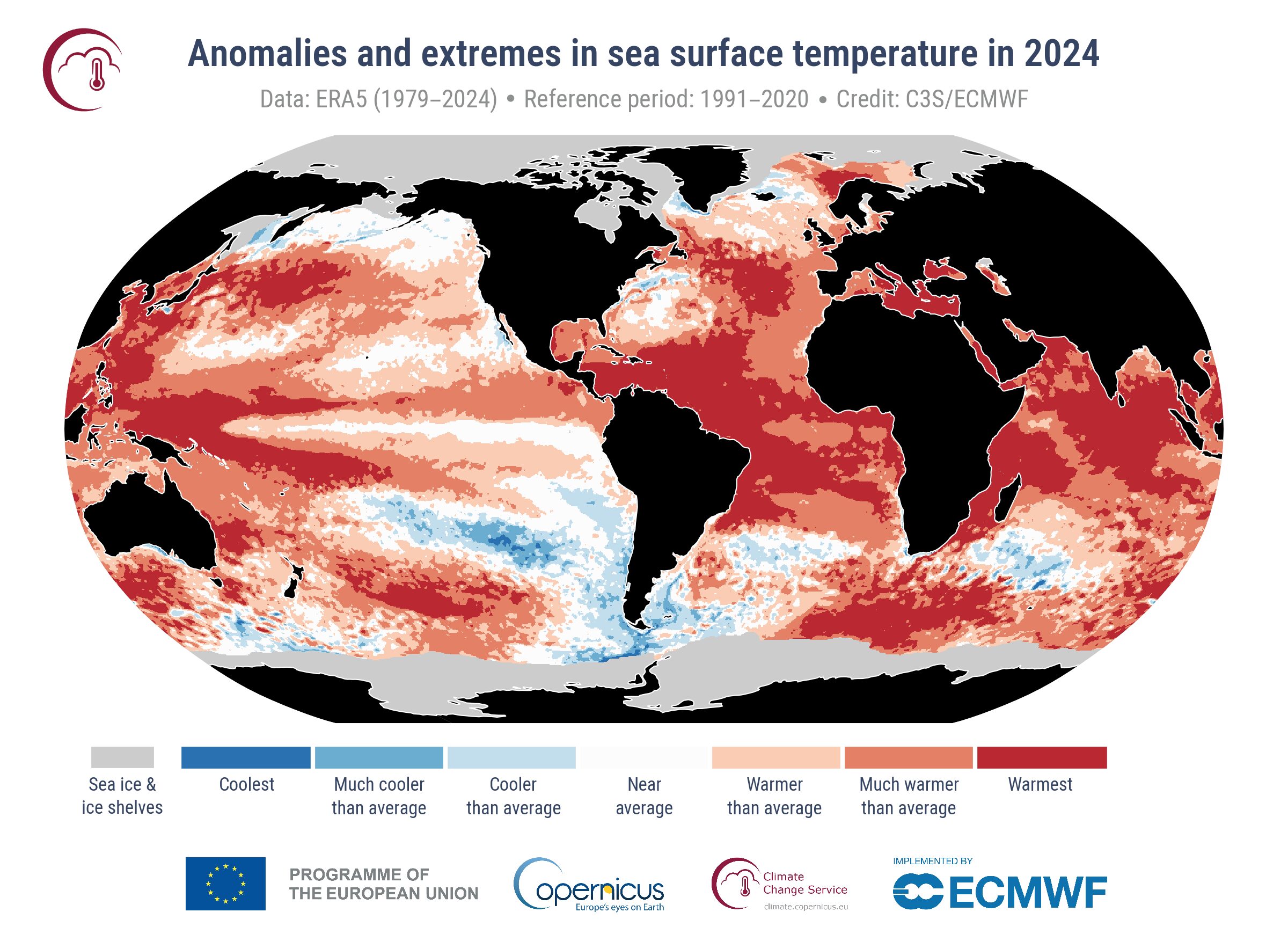 anomalia temperatura mare 2024