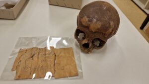 cranio efeso