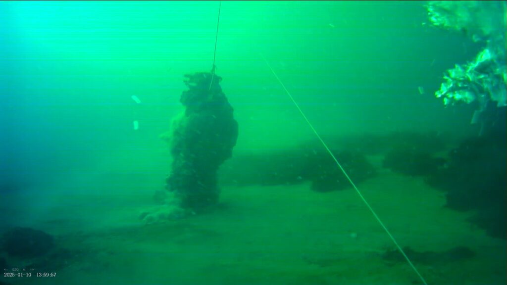 ghostnets ispra