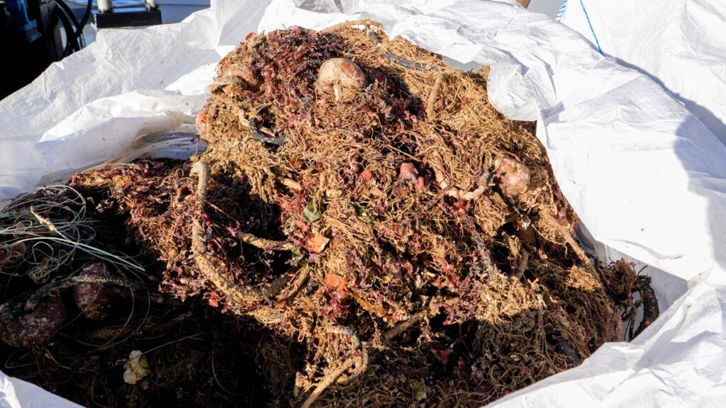 ghostnets ispra