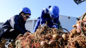 ghostnets ispra