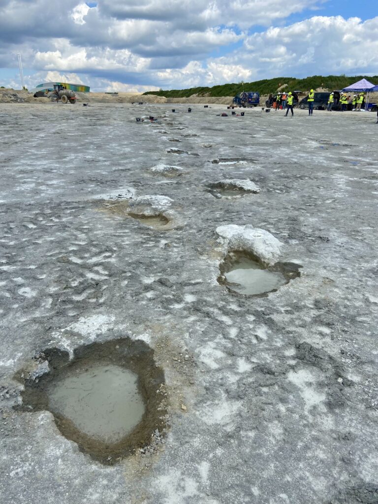 impronte dinosauro regno unito