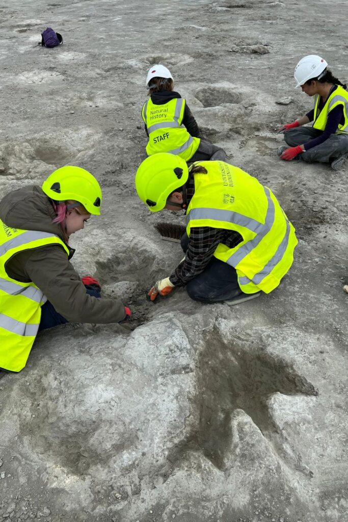 impronte dinosauro regno unito