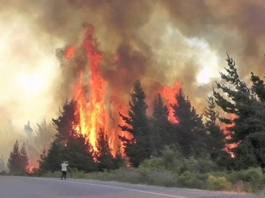 incendio argentina