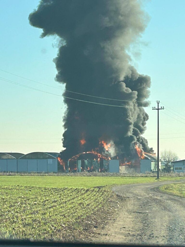 incendio cogliate