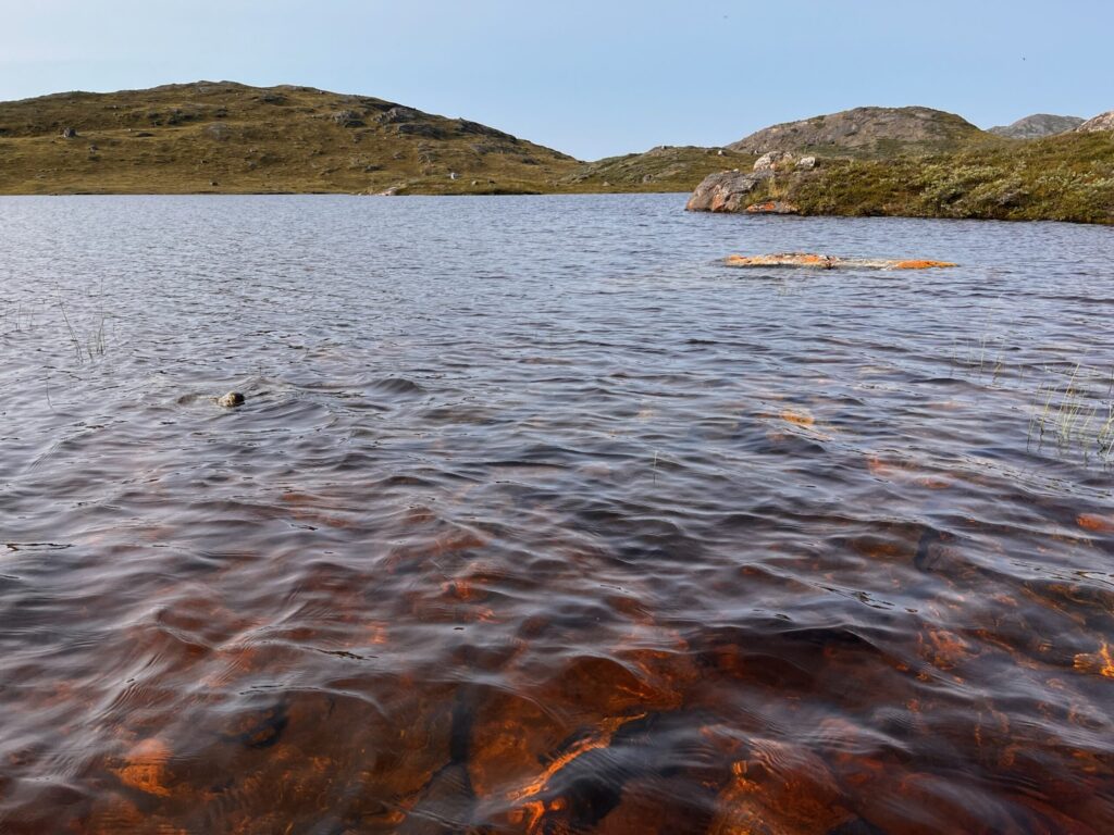laghi groenlandia colore