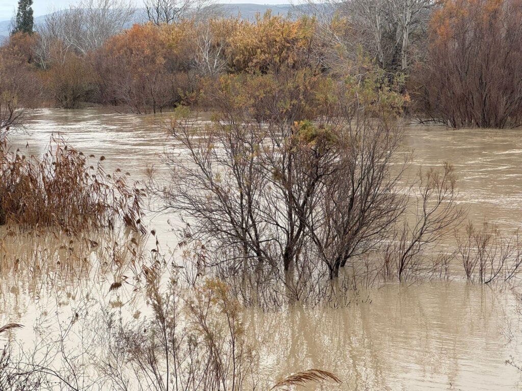 maltempo basilicata fiume