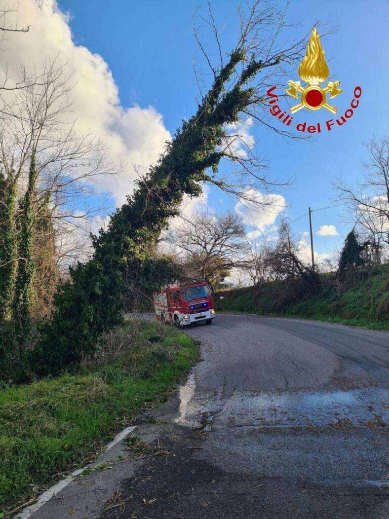maltempo calabria