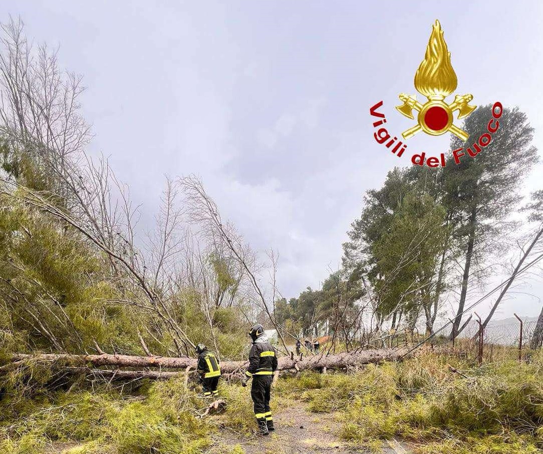 Maltempo, Calabria sferzata da vento e pioggia: alberi crollati e allagamenti, 2 persone tratte in salvo