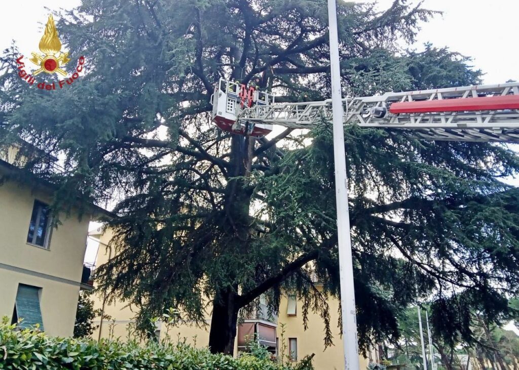 maltempo emilia romagna toscana liguria