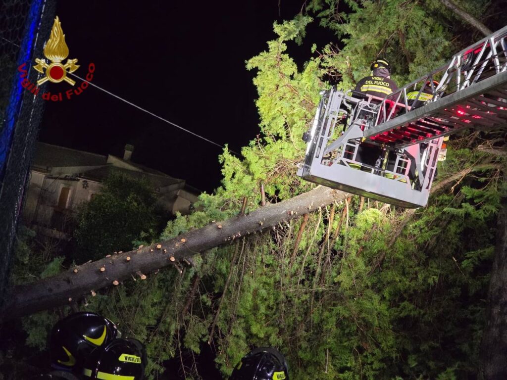 maltempo sicilia enna alberi vento vigili fuoco