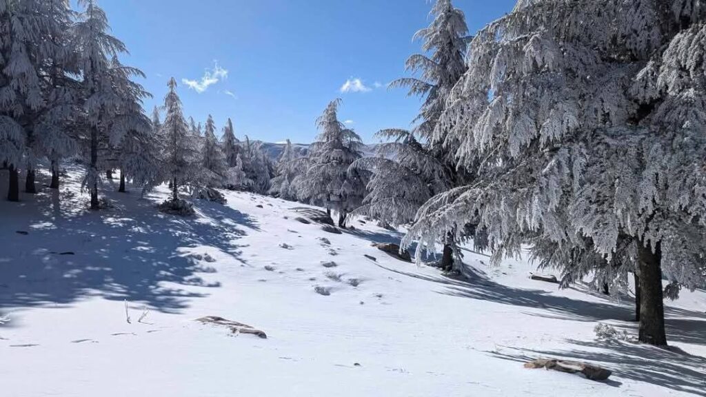 neve algeria