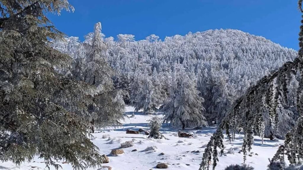 neve algeria