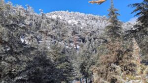 neve algeria