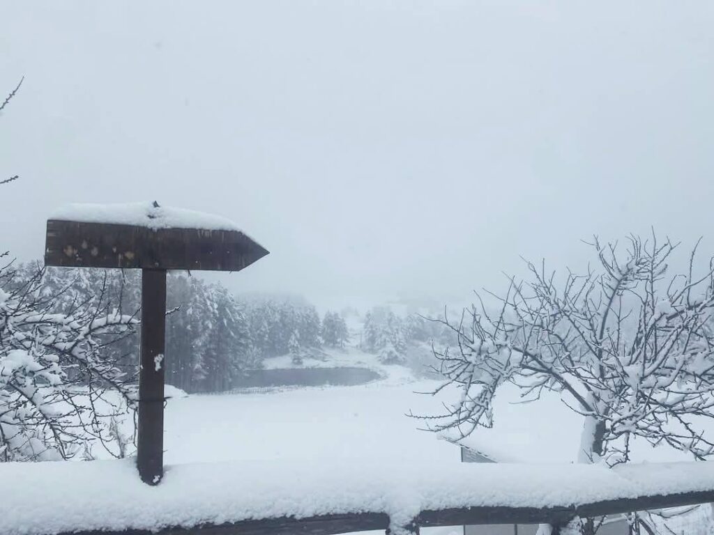 neve calabria