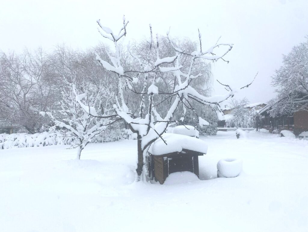 neve calabria