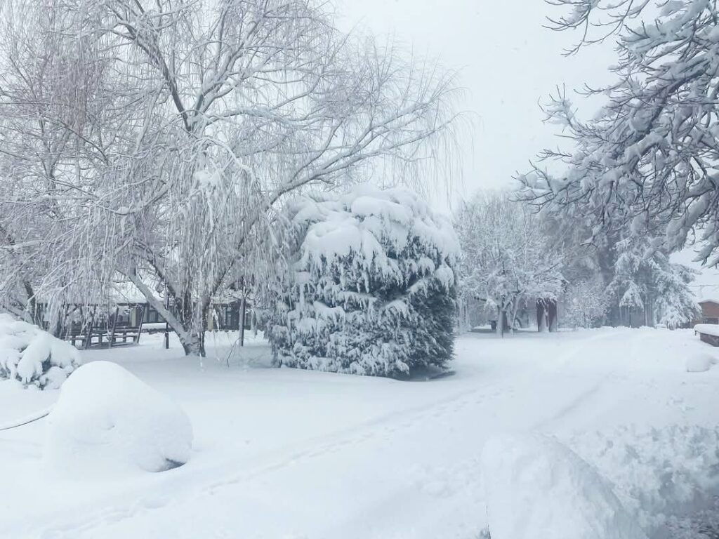 neve calabria