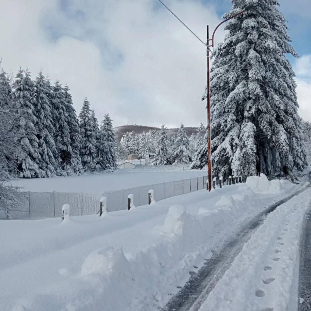 neve calabria