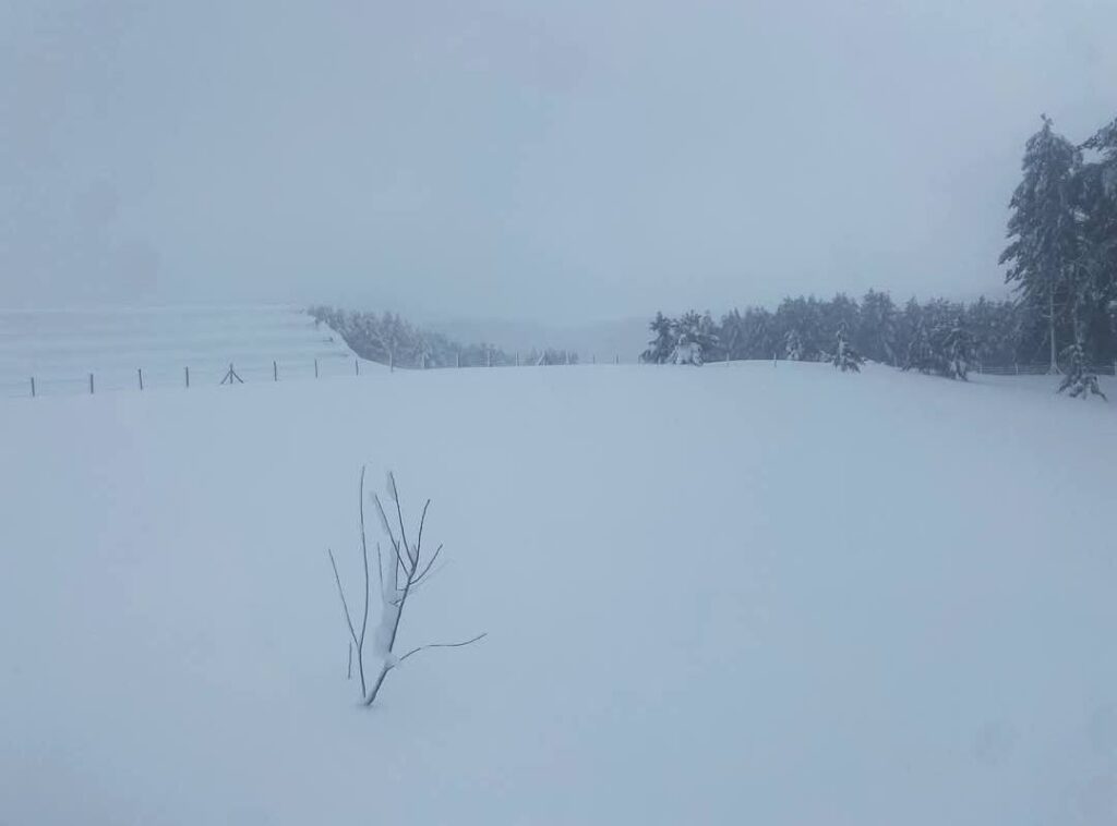 neve calabria