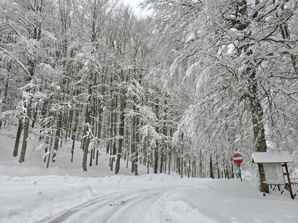 neve irpinia campania