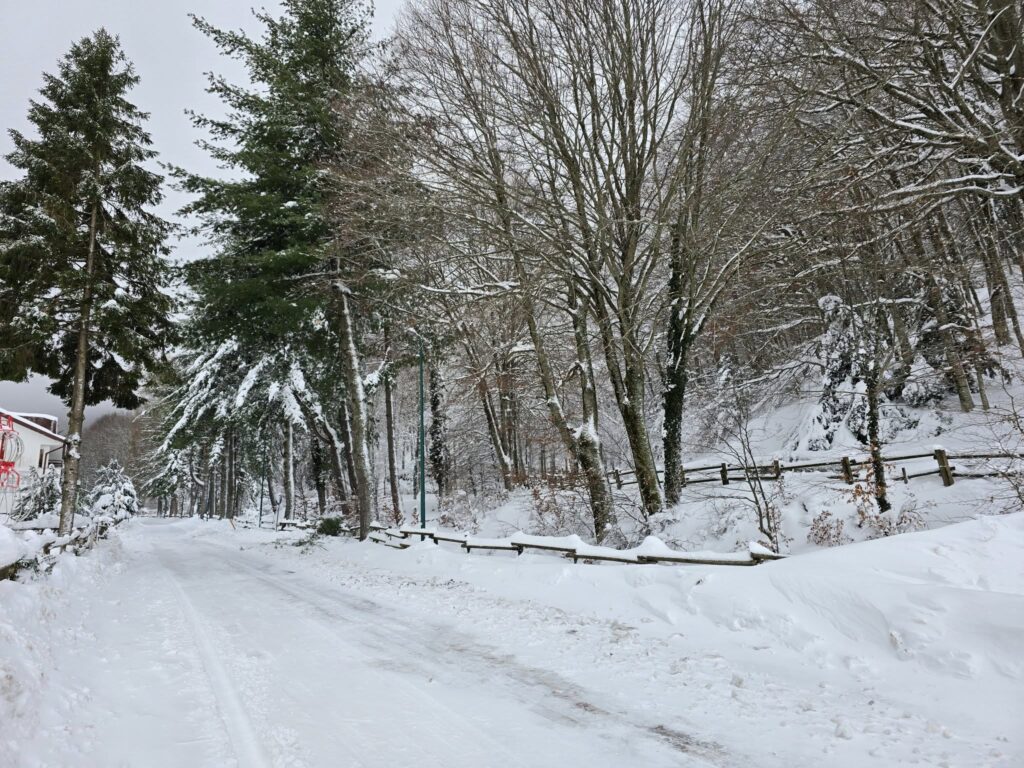 neve irpinia campania