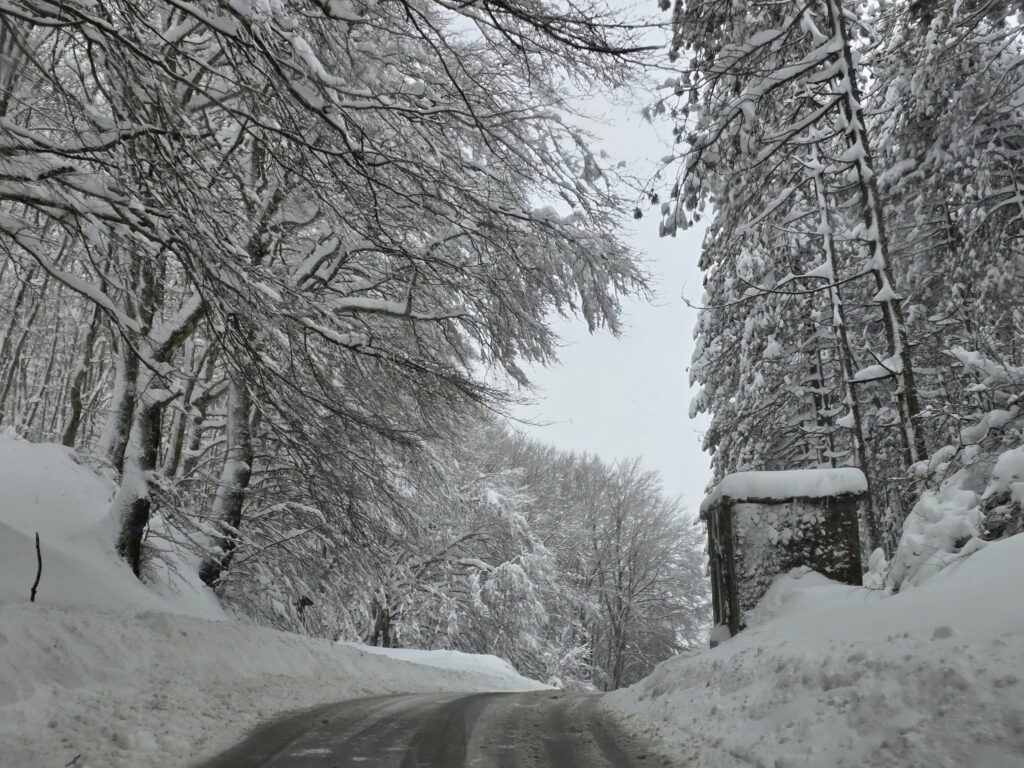 neve irpinia campania