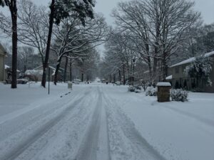 neve little rock arkansas usa