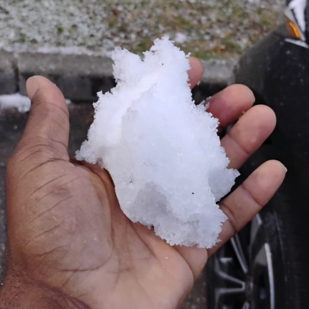 neve new orleans usa