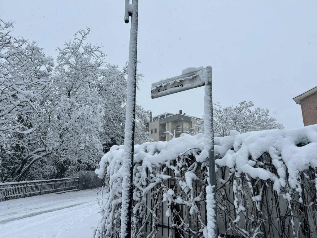 neve potenza 12 gennaio 2025