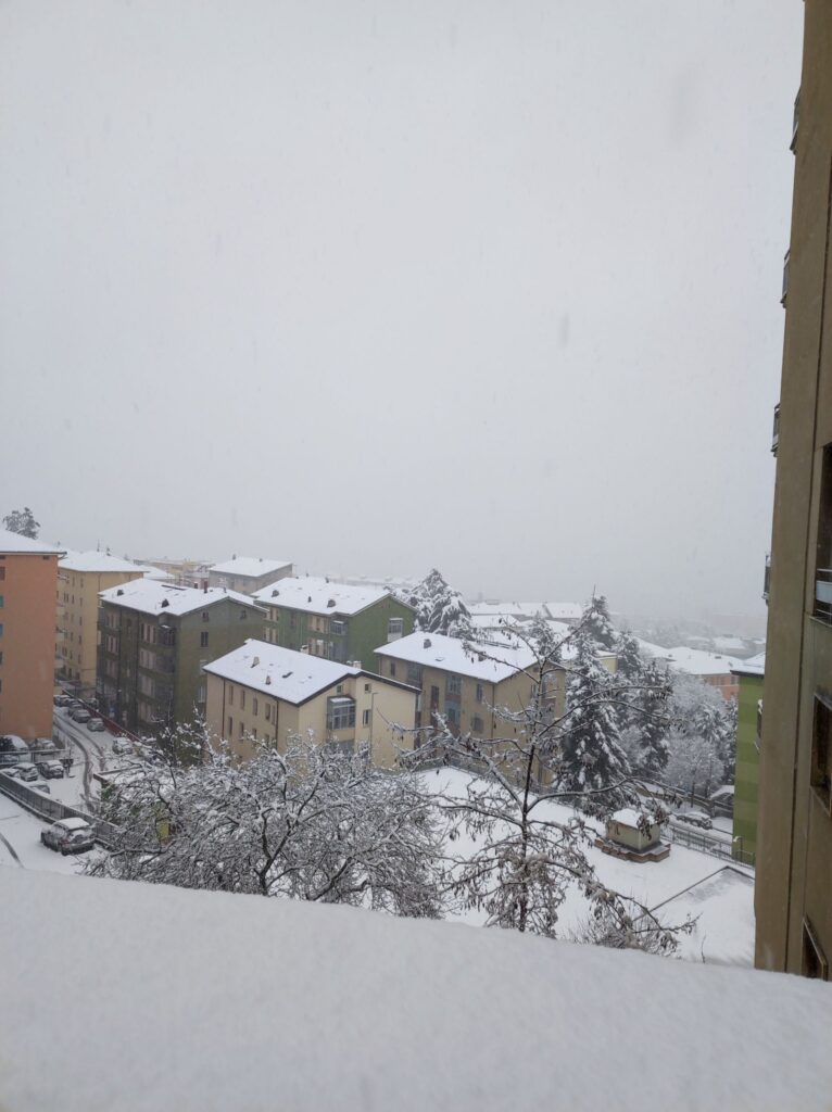 neve potenza 12 gennaio 2025