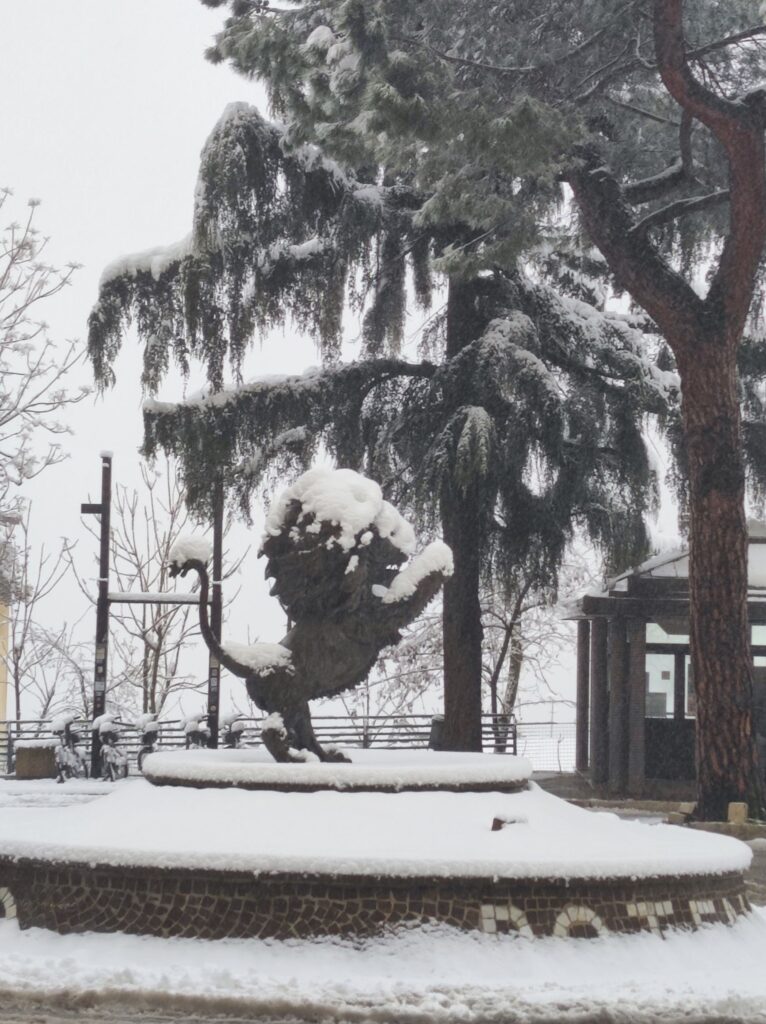 neve potenza 12 gennaio 2025