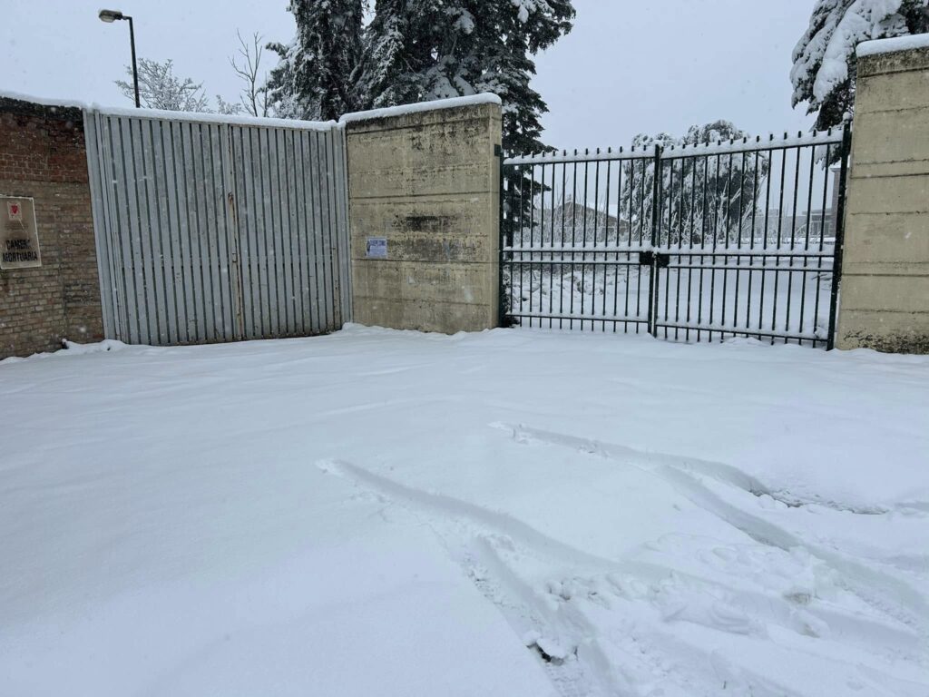 neve potenza 12 gennaio 2025