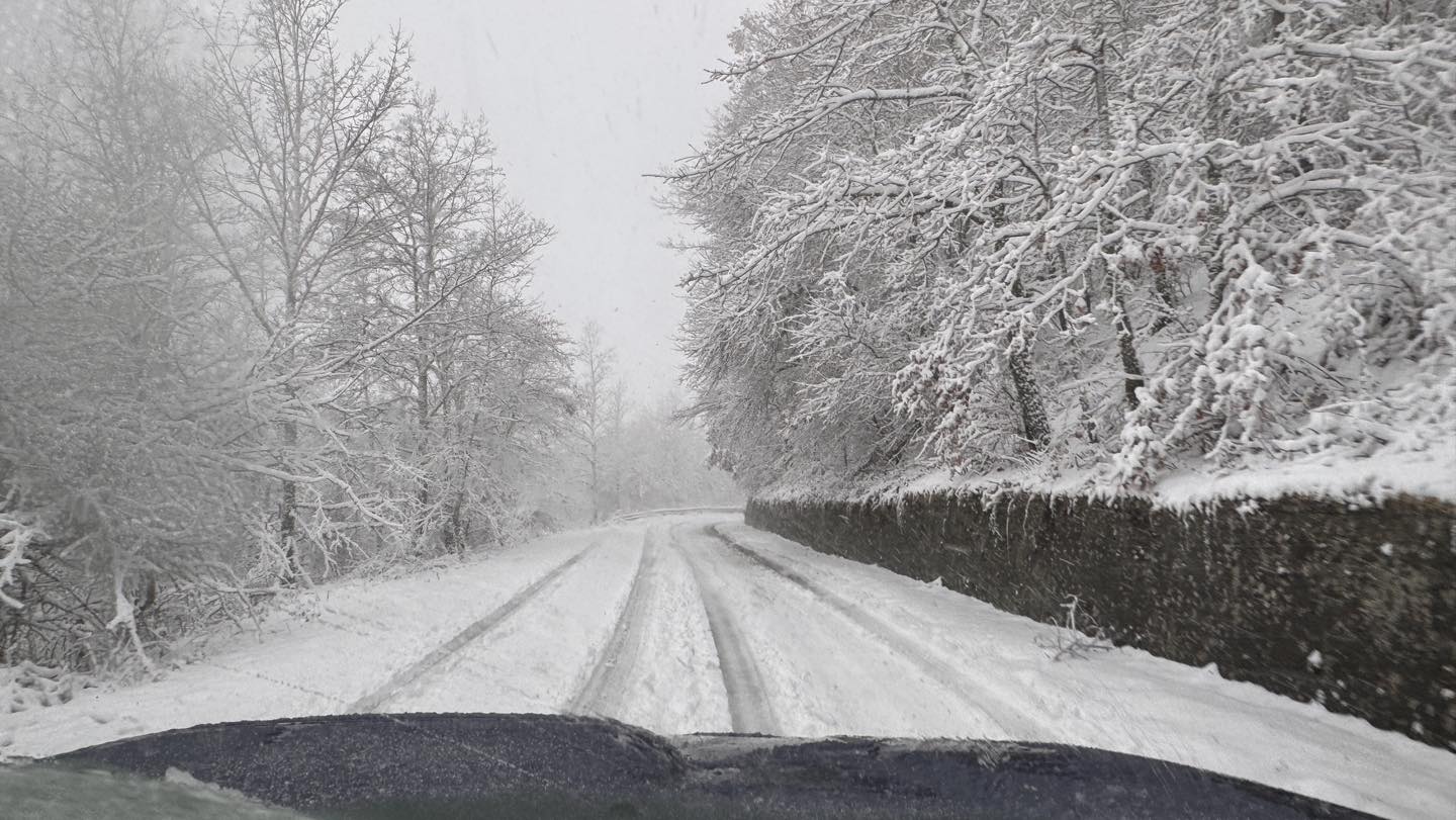Maltempo Puglia, nevica sui Monti Dauni nel Foggiano | FOTO e VIDEO