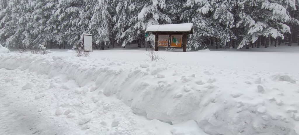 neve sila