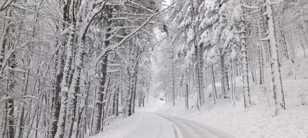 neve sila