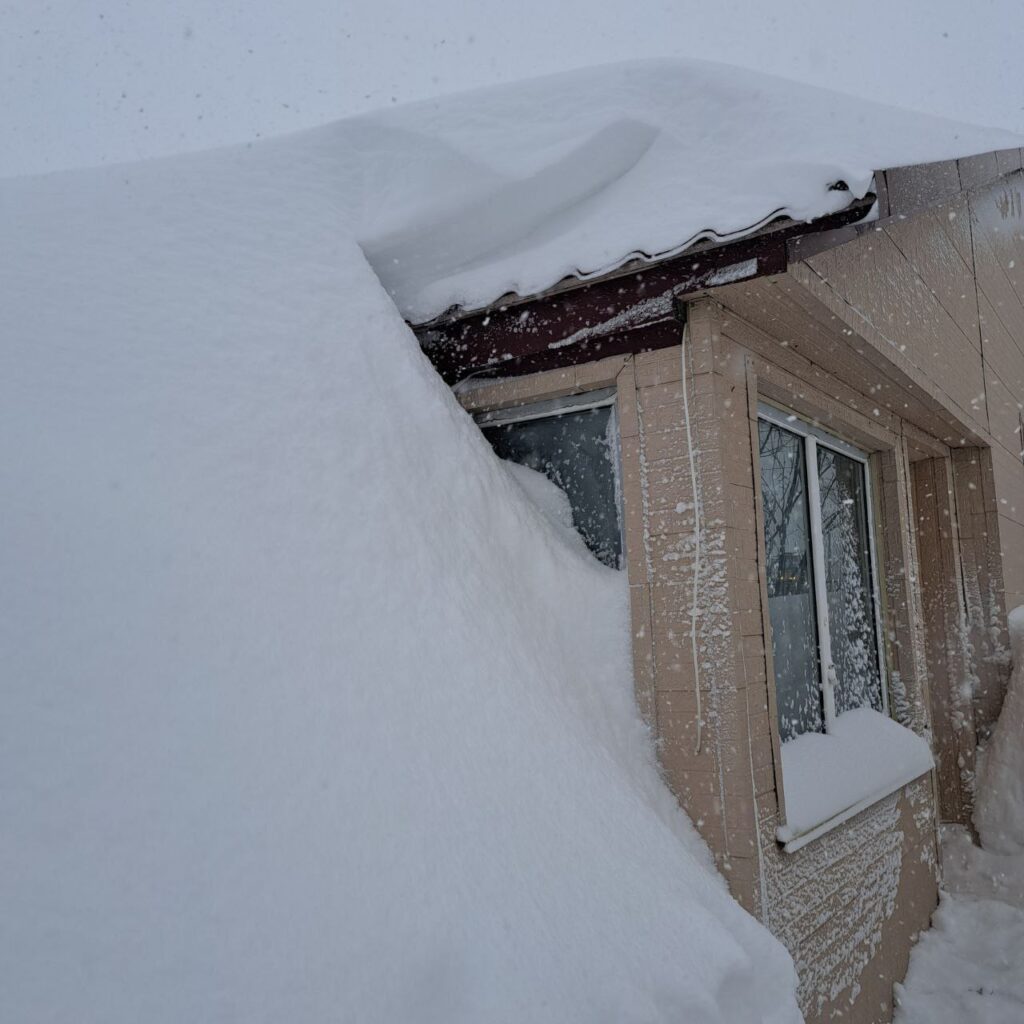 sachalin neve russia