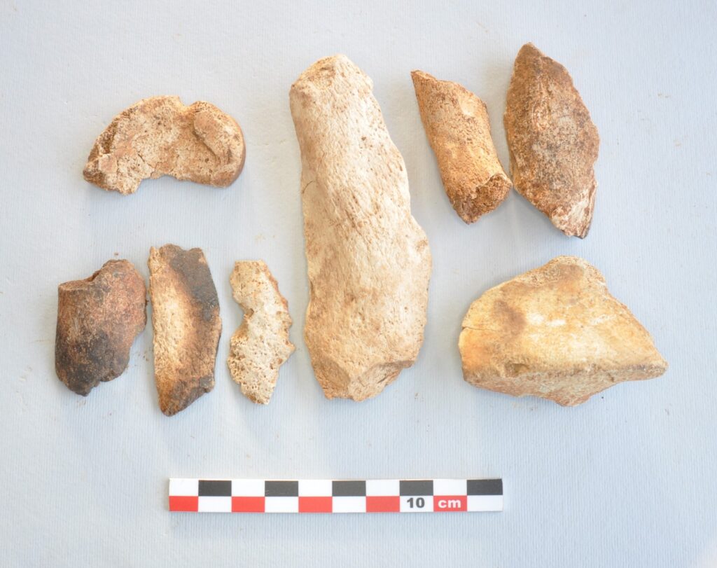 sito neanderthal valdicastello