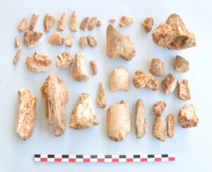 sito neanderthal valdicastello