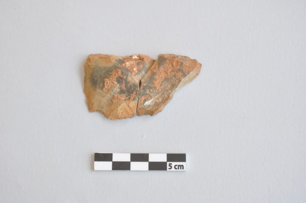 sito neanderthal valdicastello
