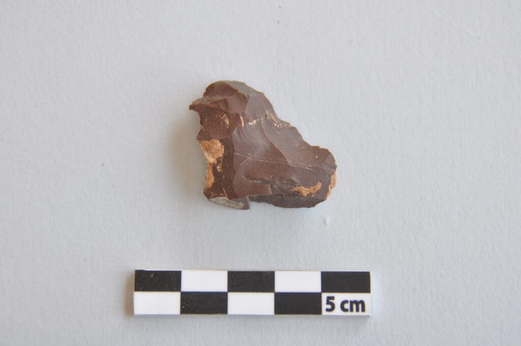 sito neanderthal valdicastello