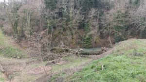 vento alberi valtiberina