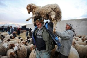 Eid al-Adha festa sacrificio