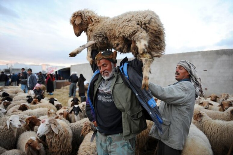 Eid al-Adha festa sacrificio