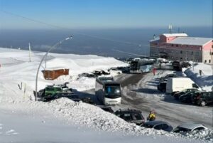 Neve Majelletta