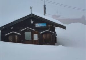 Neve Majelletta